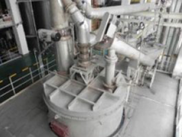 山東西王集團西王藥業有限公司